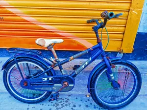 Baby Cycle 20 Inches