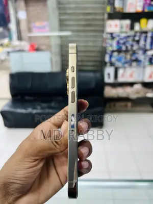 অ্যাপল আইফোন ১৩ প্রো ২৫৬ জিবি রোজ গোল্ড