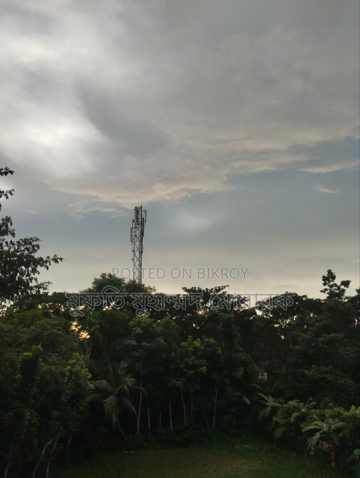 আরবি পড়াতে চাই