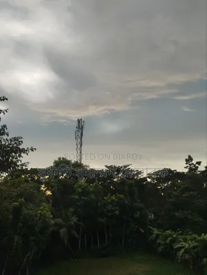 আরবি পড়াতে চাই