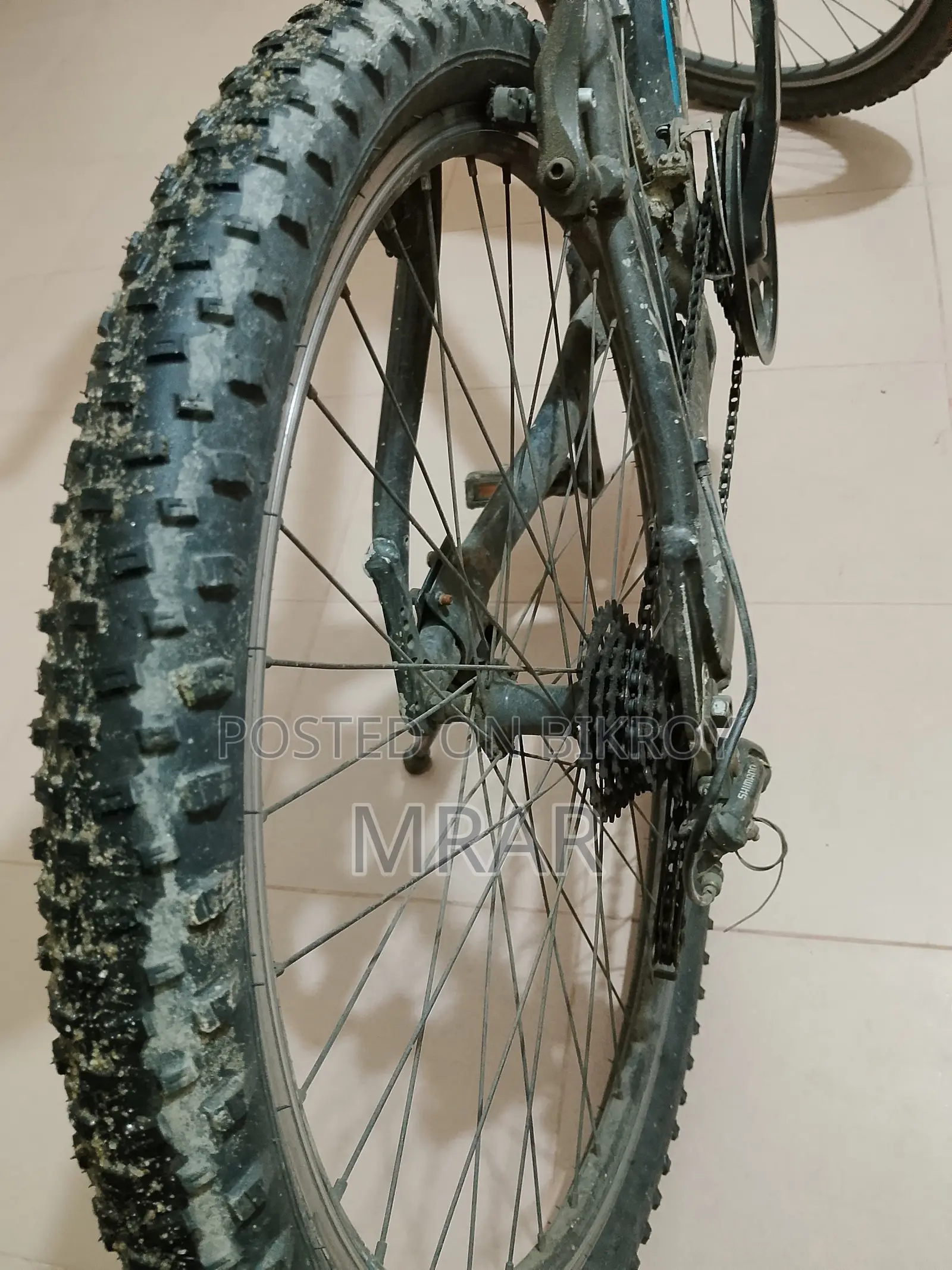Veloce -Legion 10 by Cycle
