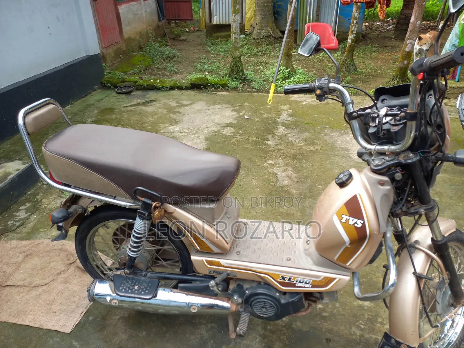 TVS XL 100 2022 Beige