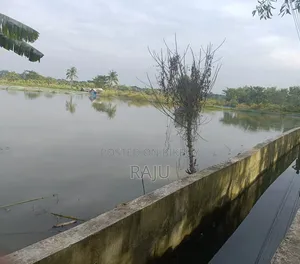 50 Decimal Land for Sale Beside the Bisroad.