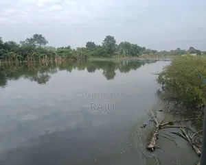 50 Decimal Land for Sale Beside the Bisroad.