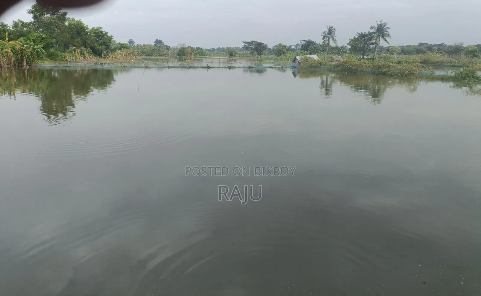50 Decimal Land for Sale Beside the Bisroad.