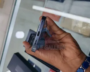 স্যামসাং এস২৪ ৫জি স্ন্যাপড্রাগন ভ্যারিয়েন্ট