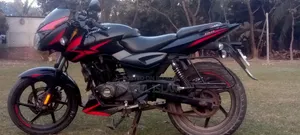 Bajaj Avenger 150 Street 2021 Black