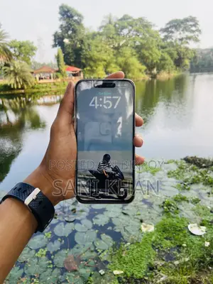 অ্যাপল আইফোন ১৪ প্রো ম্যাক্স ১২৮ জিবি সাদা