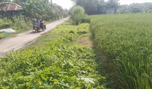 বাড়ি না থাকার কারণে জমি বিক্রি করা হচ্ছে