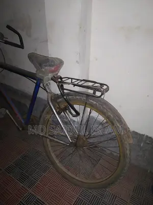 Bicycle Blue