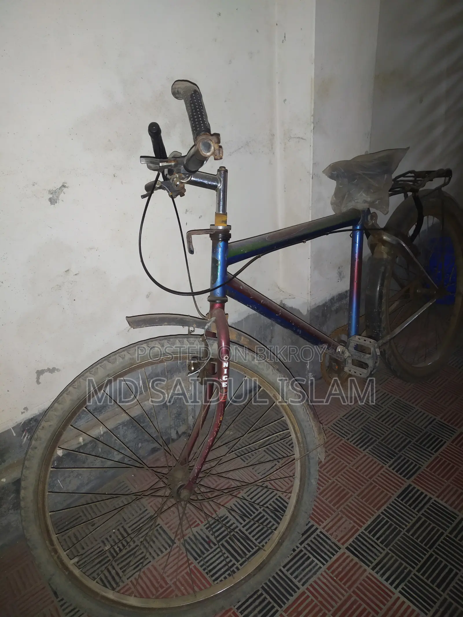 Bicycle Blue