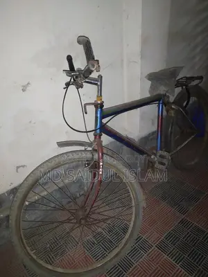 Bicycle Blue
