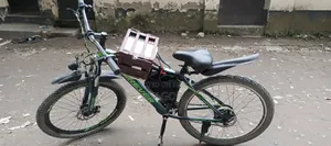 A Hub Motor Driven Bicycle for Sale