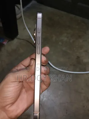 অ্যাপল আইফোন ১৬ প্রো ম্যাক্স ২৫৬ জিবি রোজ গোল্ড