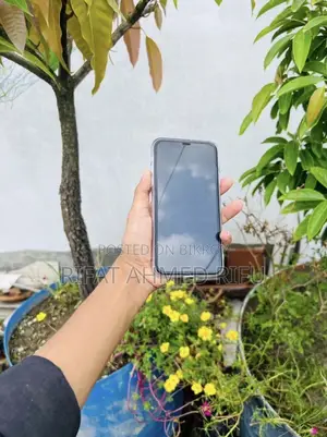 অ্যাপল আইফোন ১১ ১২৮ জিবি