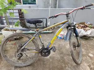 Aluminium Body Cycle