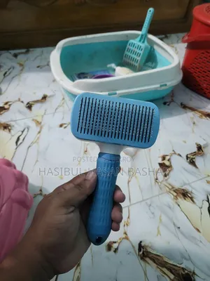 বেড়ালের এক্সেসরিজ