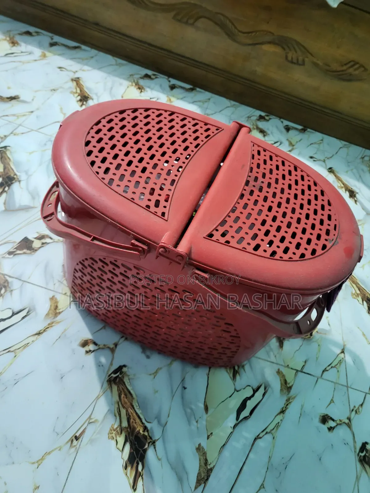বেড়ালের এক্সেসরিজ