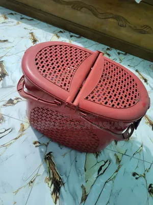 বেড়ালের এক্সেসরিজ