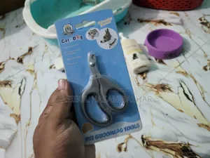বেড়ালের এক্সেসরিজ