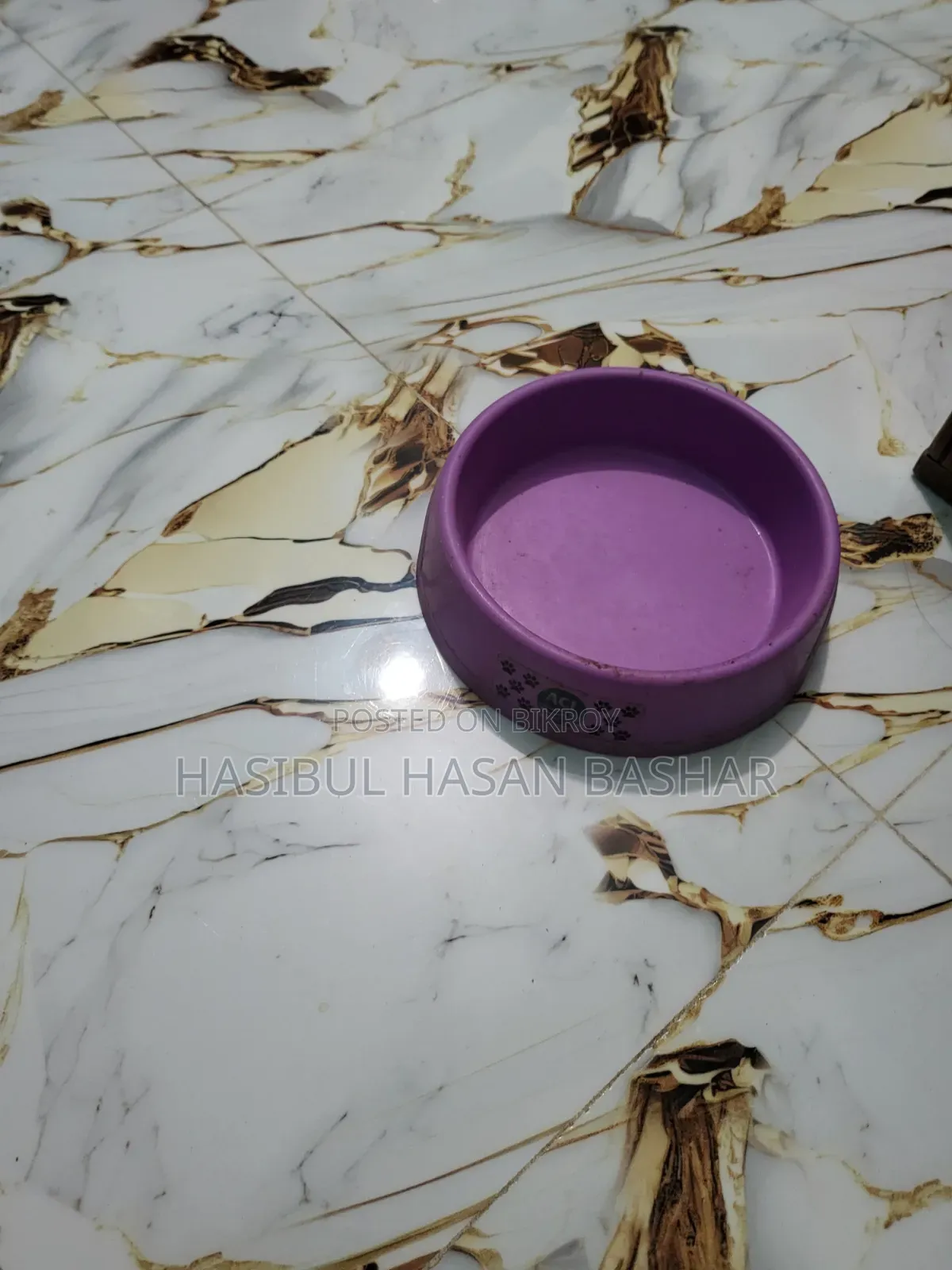 বেড়ালের এক্সেসরিজ