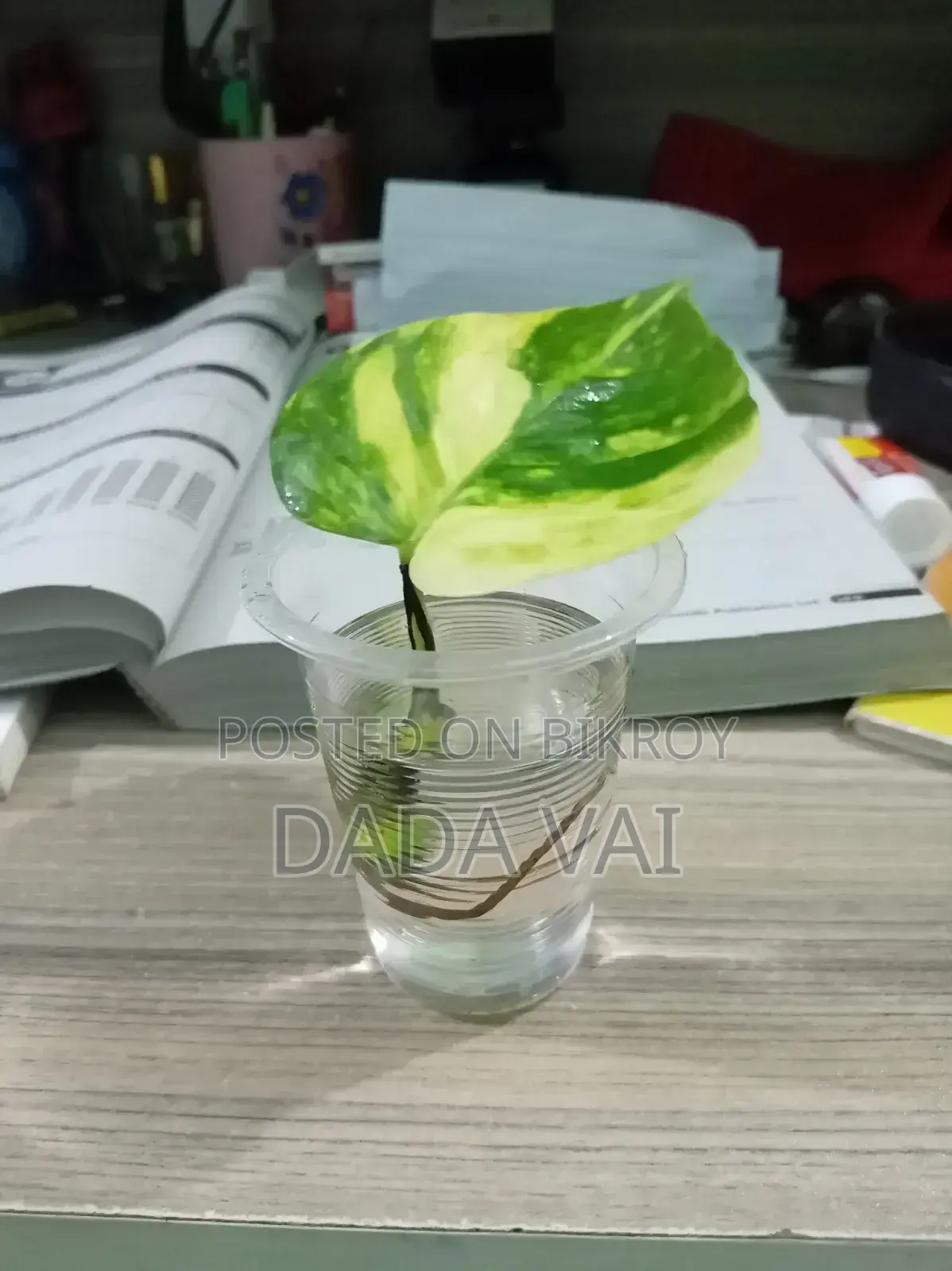 দ্য ক্লাসিক ডেস্ক কম্প্যানিয়ন