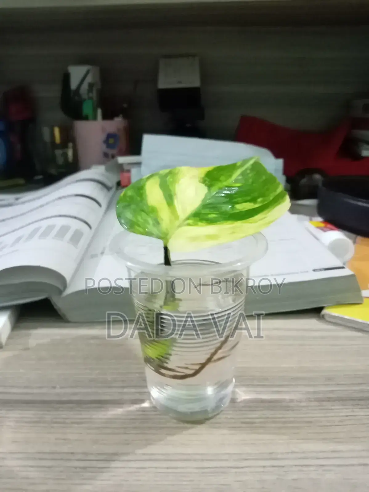 দ্য ক্লাসিক ডেস্ক কম্প্যানিয়ন