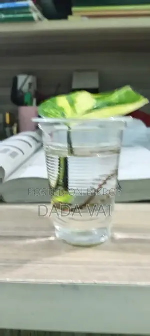 দ্য ক্লাসিক ডেস্ক কম্প্যানিয়ন