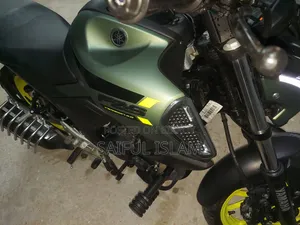 Yamaha FZS V4 2026 Green