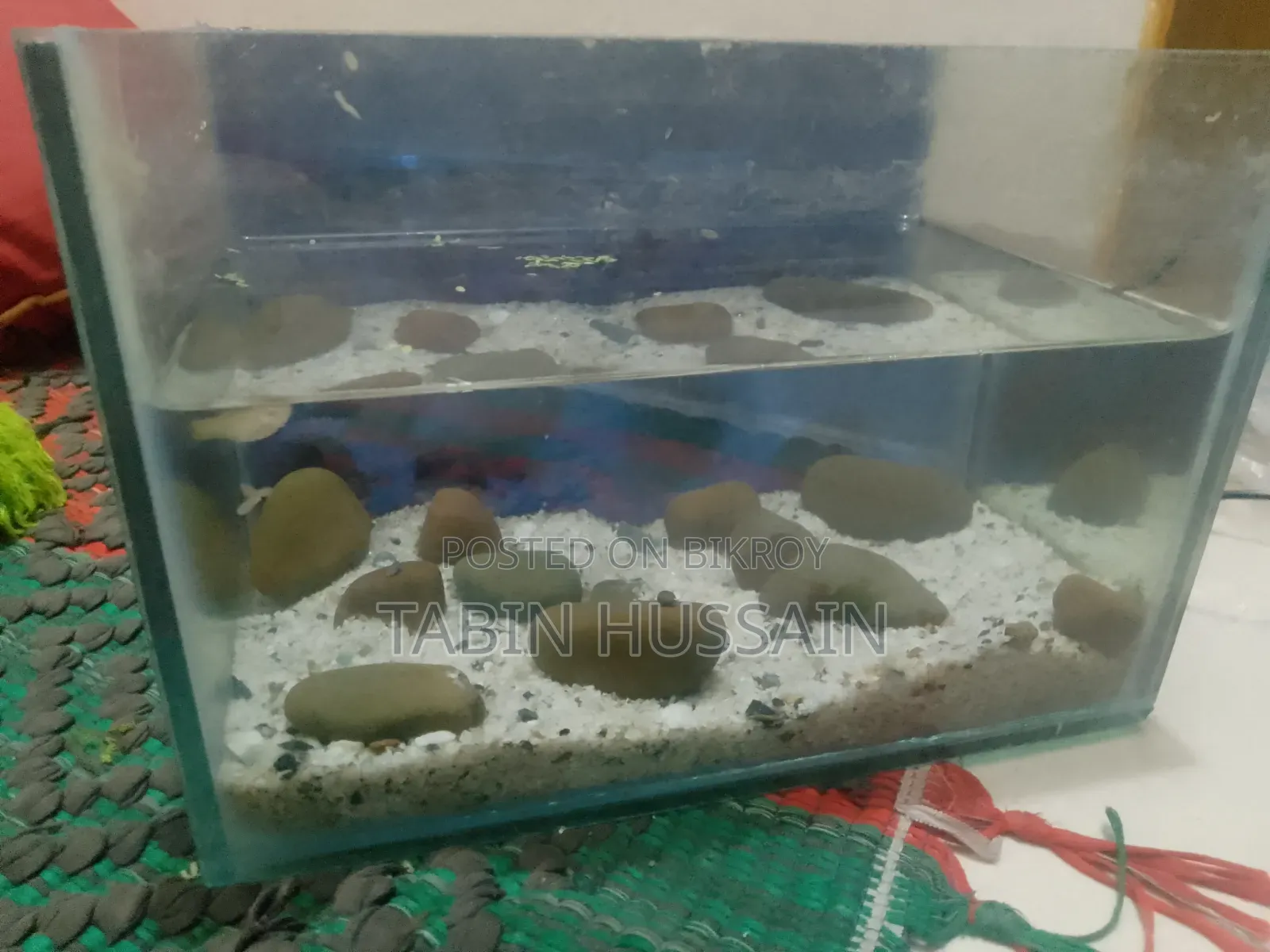 ৬/৯ মাত্র ফিশ ট্যাংক