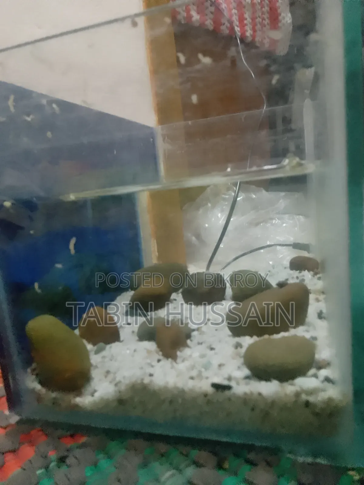 ৬/৯ মাত্র ফিশ ট্যাংক