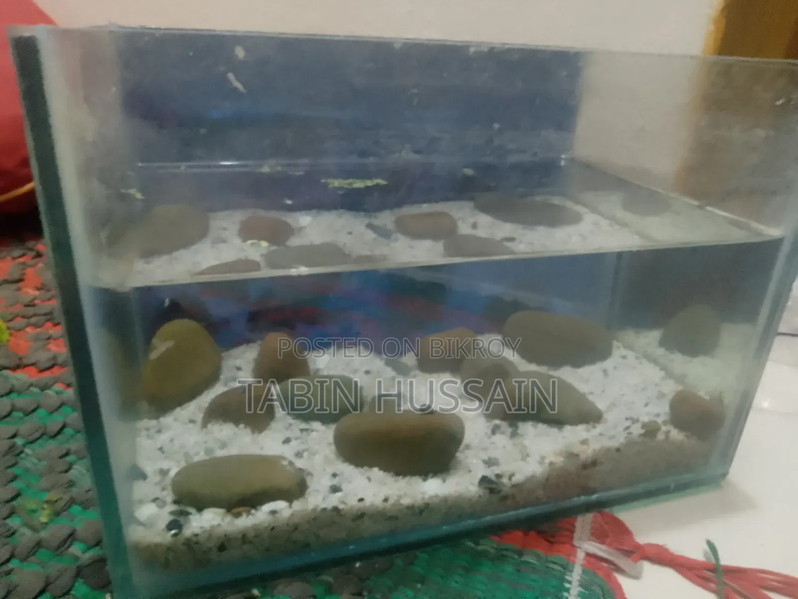 ৬/৯ মাত্র ফিশ ট্যাংক