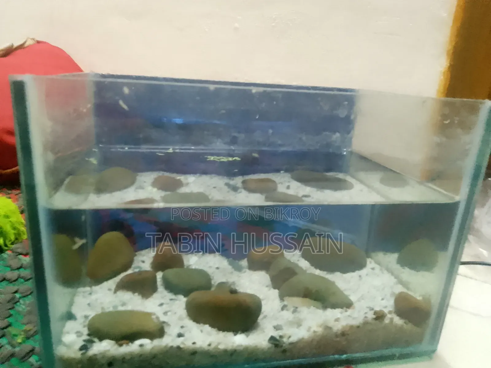 ৬/৯ মাত্র ফিশ ট্যাংক
