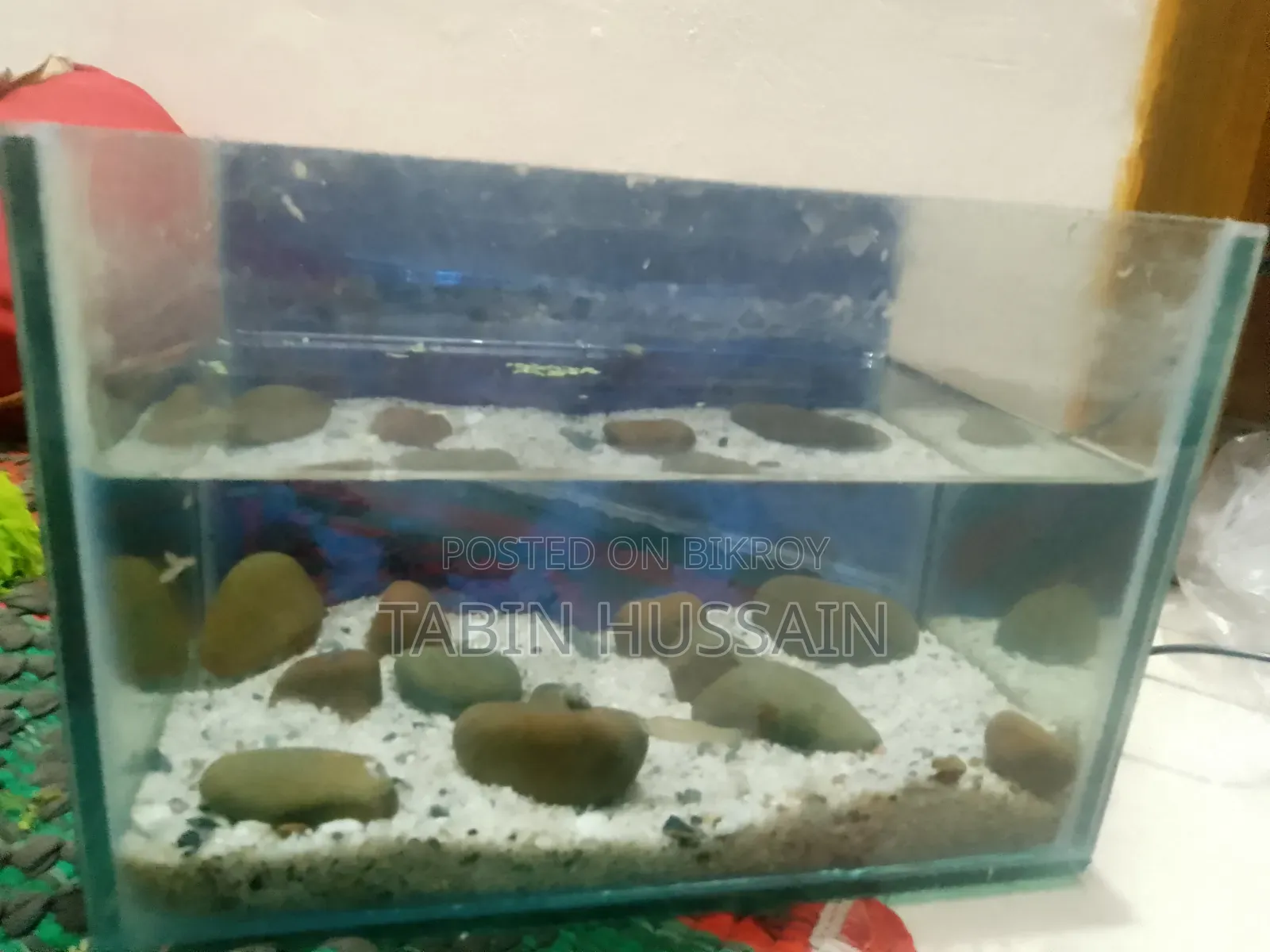 ৬/৯ মাত্র ফিশ ট্যাংক