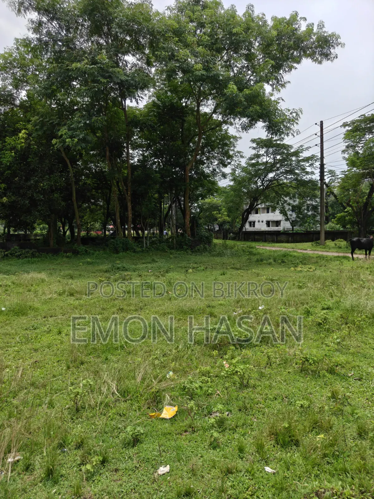 3 Katha Corner Plot