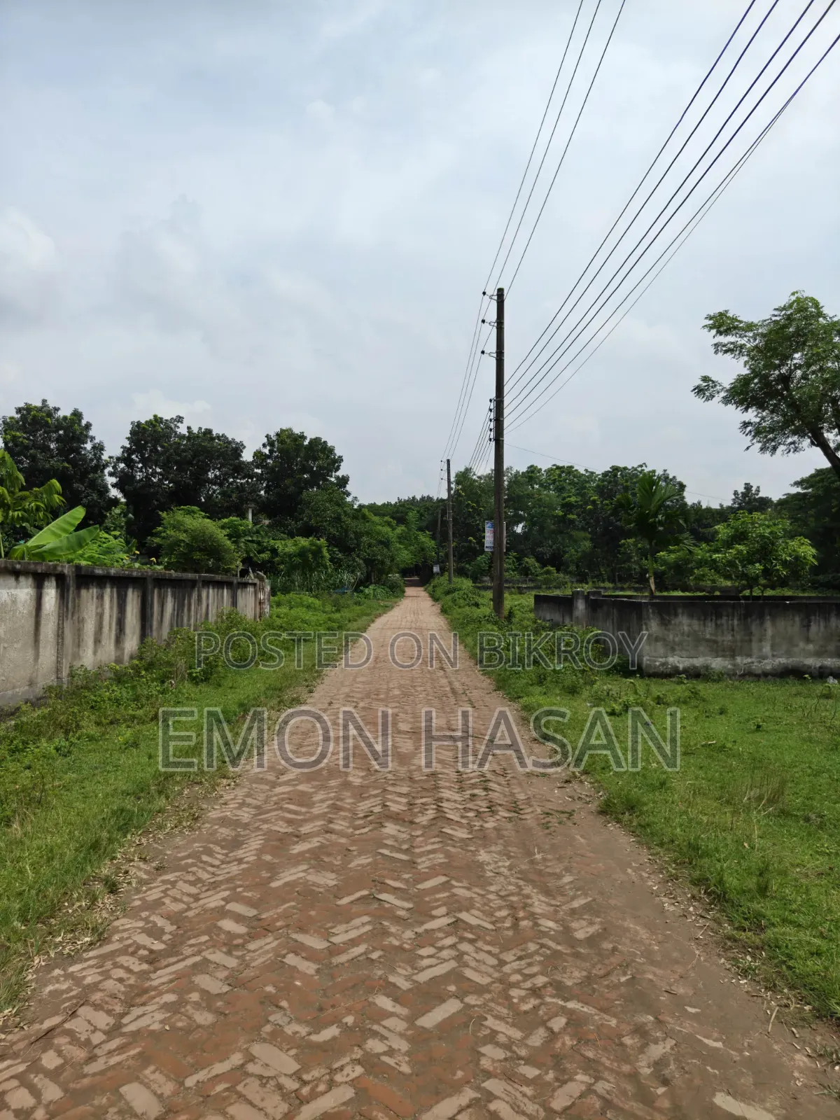 3 Katha Corner Plot