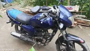Walton Cruize 2014 Blue