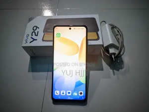 New Vivo Y29 256 GB Orange