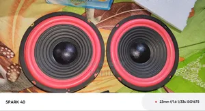 Shyam Company Bass Speaker