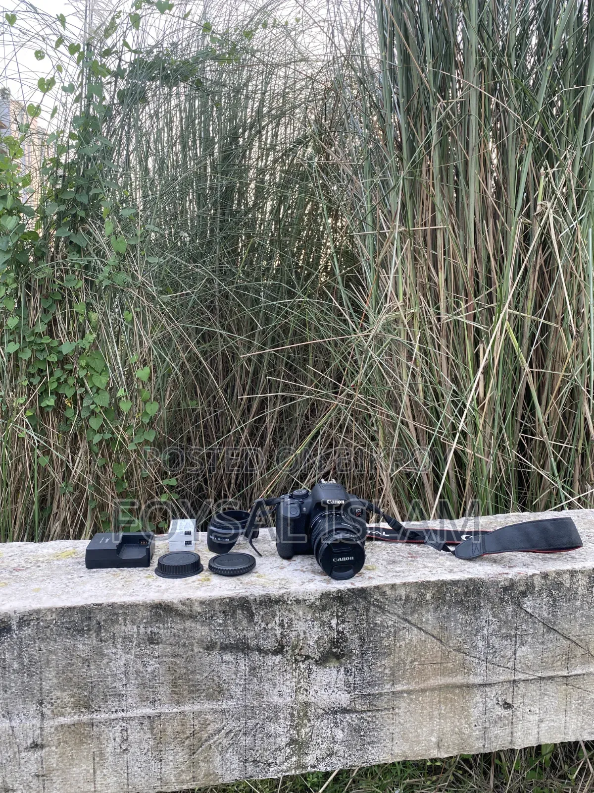 Canon Kiss X7i