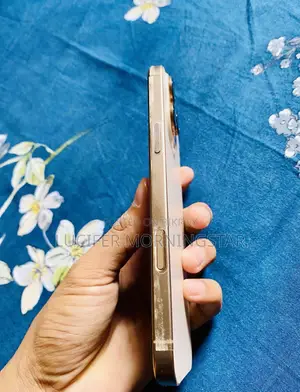 অ্যাপল আইফোন ১৬ প্রো ম্যাক্স ২৫৬ জিবি রোজ গোল্ড