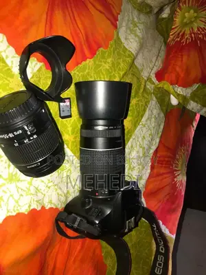 Selling because I really need money
