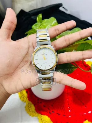 টাইটান মেনস অ্যানালগ ওয়াচ – প্রিমিয়াম টু-টোন ডিজাইন