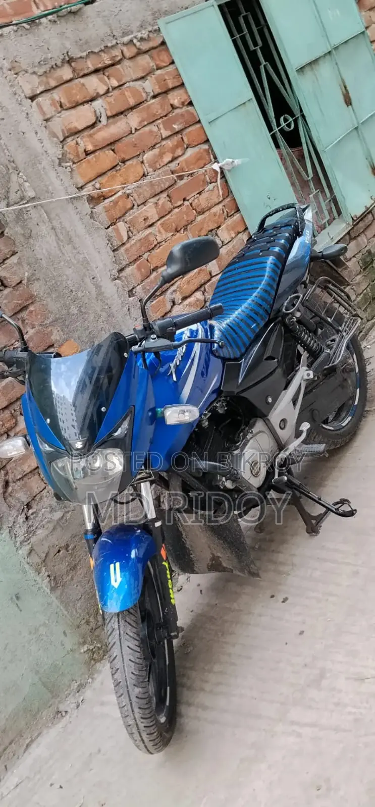 Bajaj Pulsar 150 2013 Blue