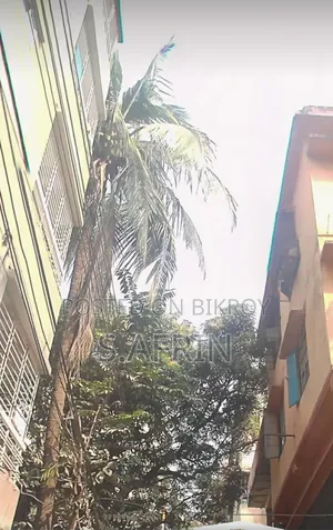 আফিয়া মঞ্জিল, মিরপুরে ৩ বেডরুমের বাসা ভাড়ا