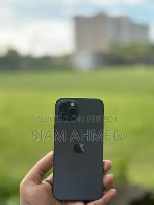 Apple iPhone 12 Pro 256 GB Gray