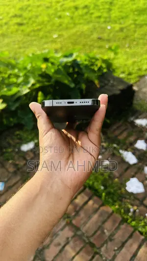 অ্যাপল আইফোন ১২ প্রো ২৫৬ জিবি গ্রে