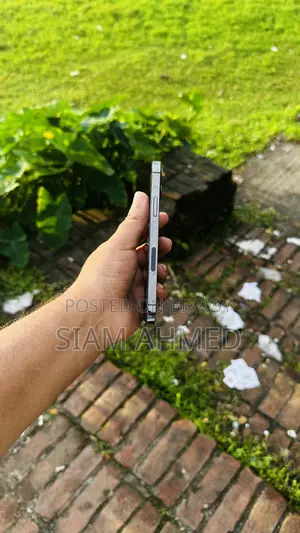 অ্যাপল আইফোন ১২ প্রো ২৫৬ জিবি গ্রে