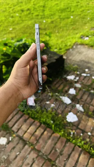 অ্যাপল আইফোন ১২ প্রো ২৫৬ জিবি গ্রে