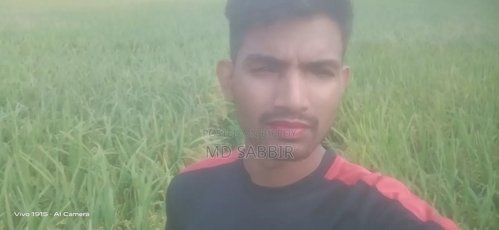 একটি চাকুরির খুব দরকার এই মুহুর্তে